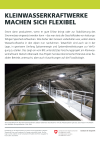 Kleinwasserkraftwerke machen sich flexibel