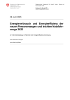 Energieverbrauch und Energieeffizienz der neuen Personenwagen und leichten Nutzfahrzeuge 2022