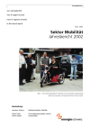 Sektor Mobilität. Jahresbericht 2002