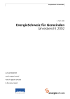 EnergieSchweiz für Gemeinden. Jahresbericht 2002