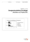 Energiewirtschaftliche Grundlagen, Aktivitäten und Projekte 2001 - Jahresbericht