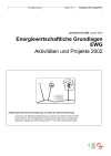 Energiewirtschaftliche Grundlagen EWG, Aktivitäten und Projekte 2002 - Jahresbericht 2002