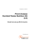Pinch-Analyse: Hochdorf Swiss Nutrition AG (LU)