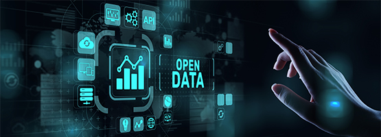 Open Government Data - Bild 1