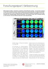 Combustion research report