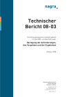 Technischer Bericht 08-03: Darlegung der Anforderungen, des Vorgehens und der Ergebnisse