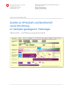 Studien zu Wirtschaft und Gesellschaft sowie Monitoring im Sachplan geologische Tiefenlager