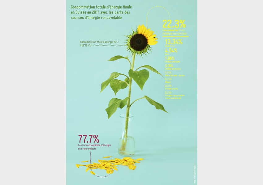 BFE-Infografik-Grafik_12-FR-2018