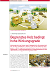 Begrenztes Holz bedingt hohe Wirkungsgrade