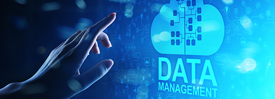 Datenmanagement - Bild 1