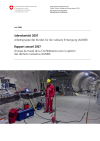 Rapport annuel 2007 du Groupe de travail de la Confédération pour la gestion des déchets nucléaires (AGNEB)