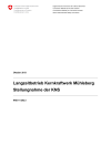 Langzeitbetrieb Kernkraftwerk Mühleberg - Stellungnahme der KNS