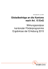 Globalbeiträge an die Kantone nach Art. 15 EnG - Schlussbericht