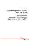 Globalbeiträge an die Kantone nach Art. 15 EnG - Schlussbericht